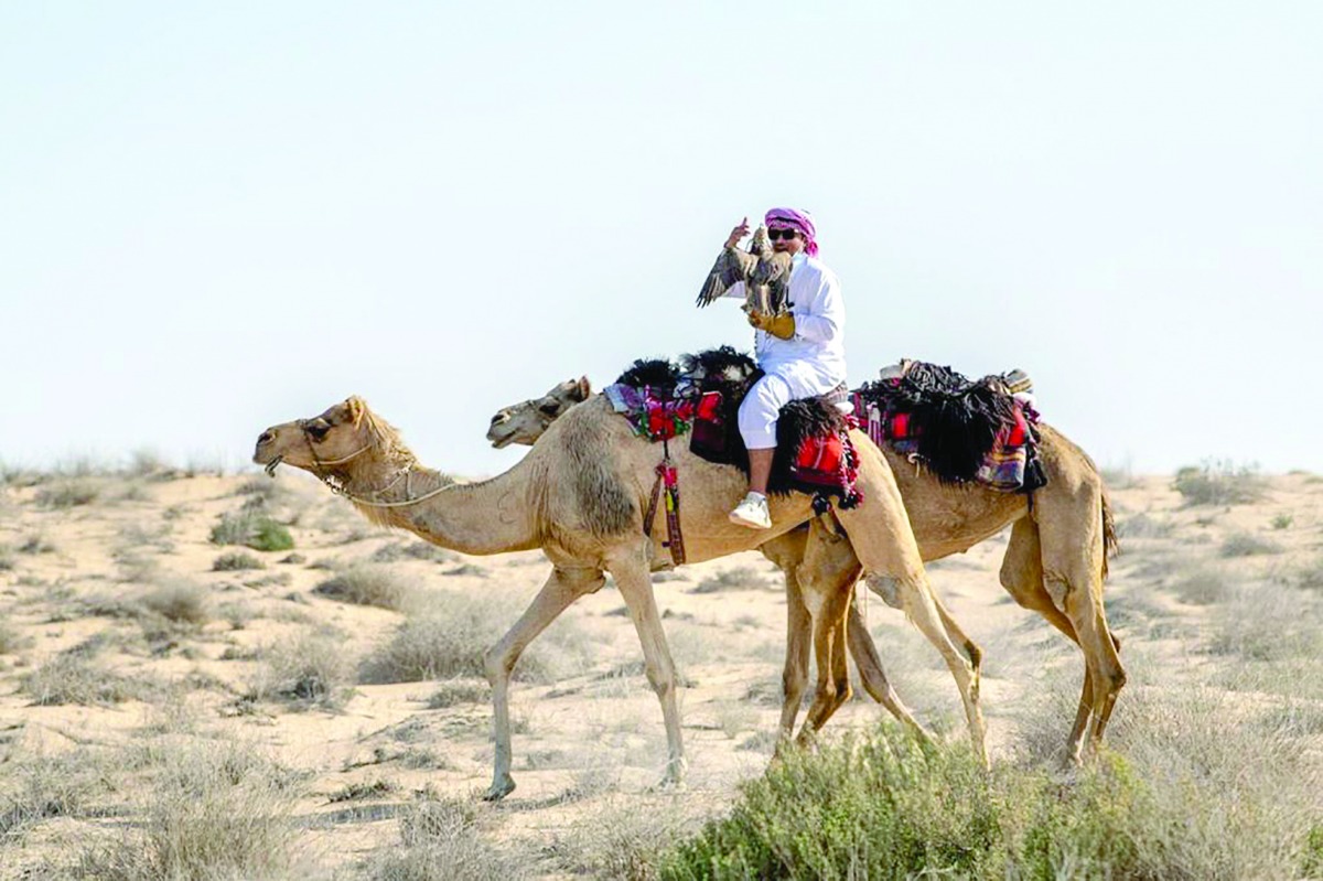 alarab