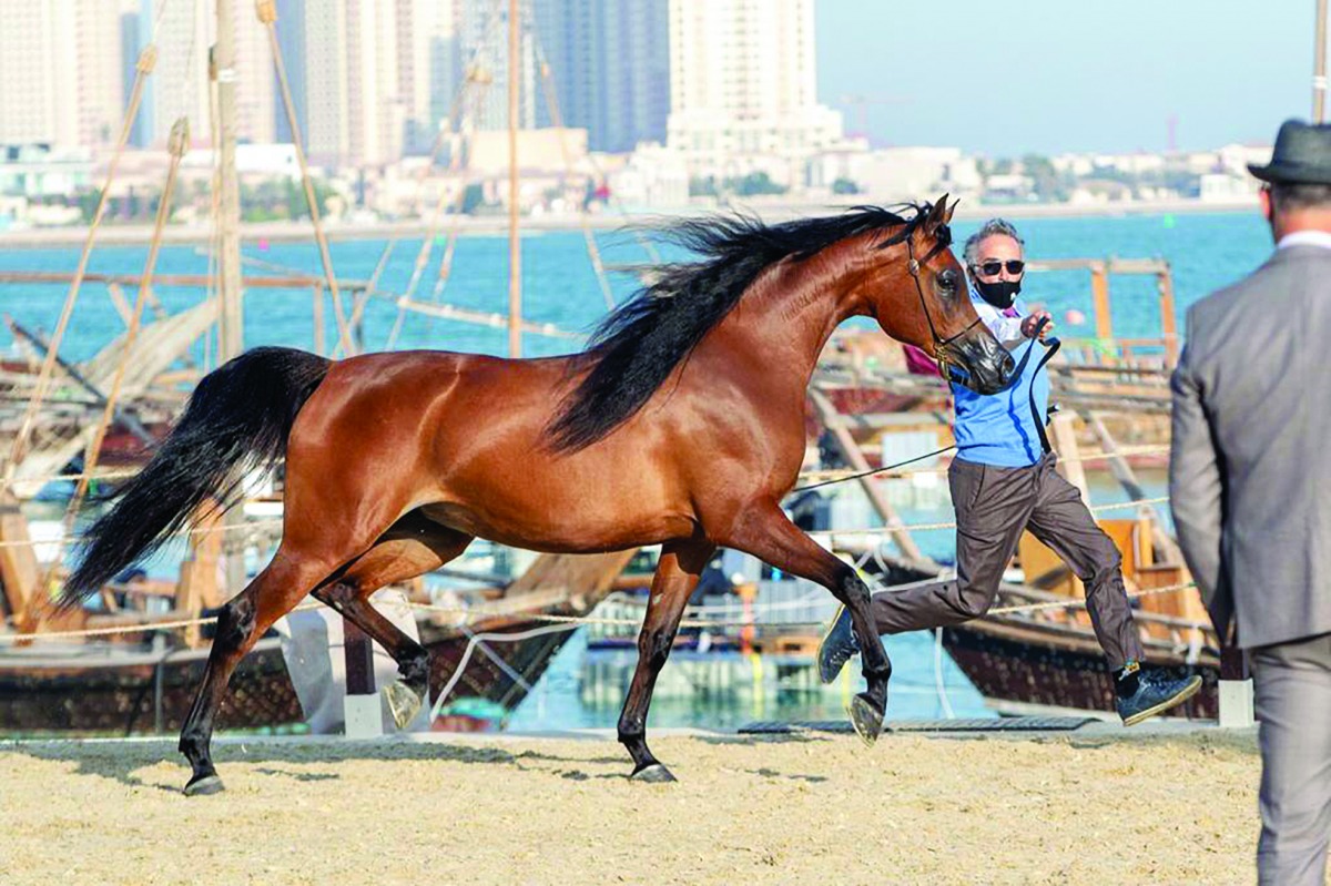 alarab