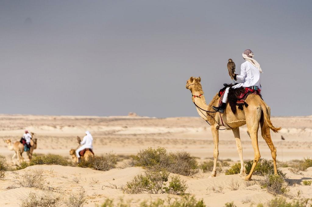 alarab