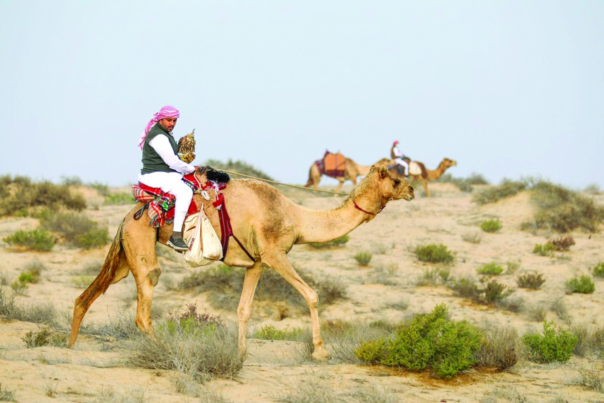 alarab
