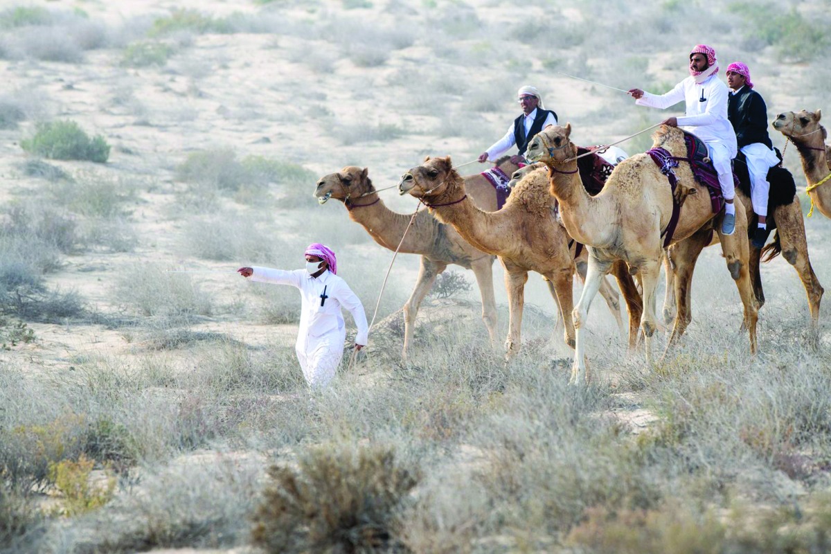 alarab
