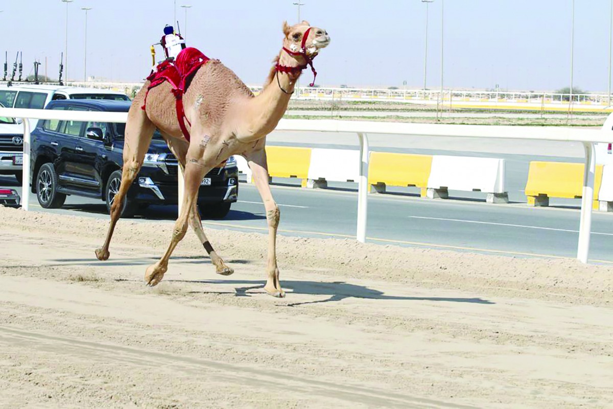alarab