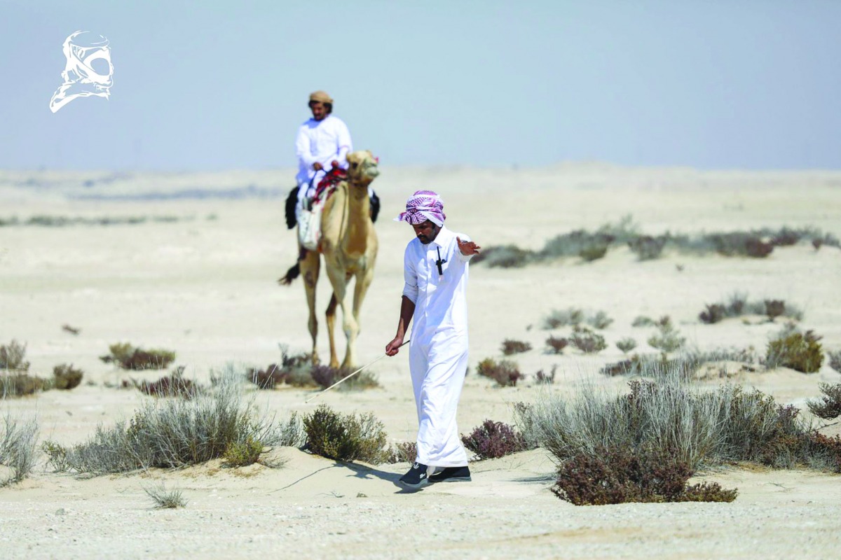 alarab