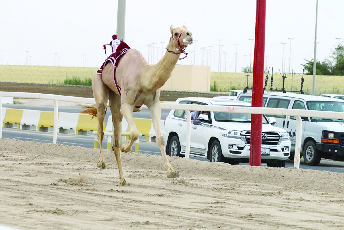 alarab