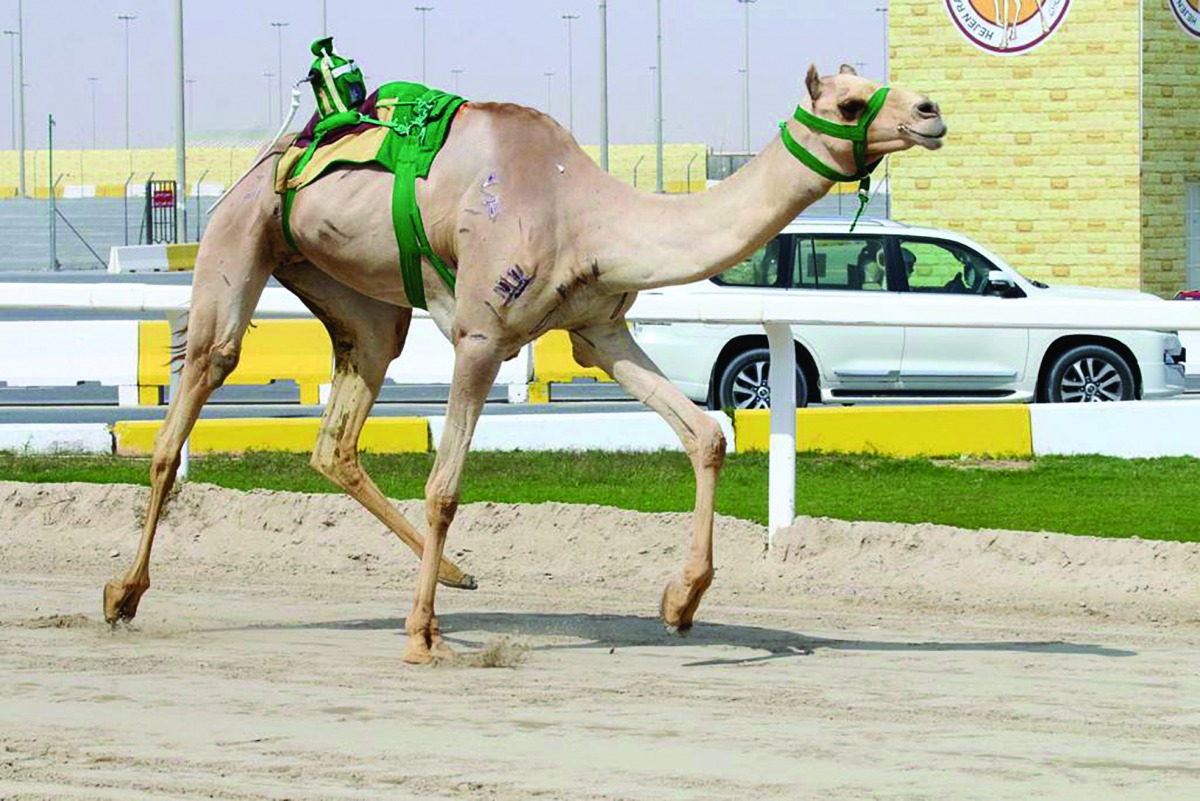 alarab