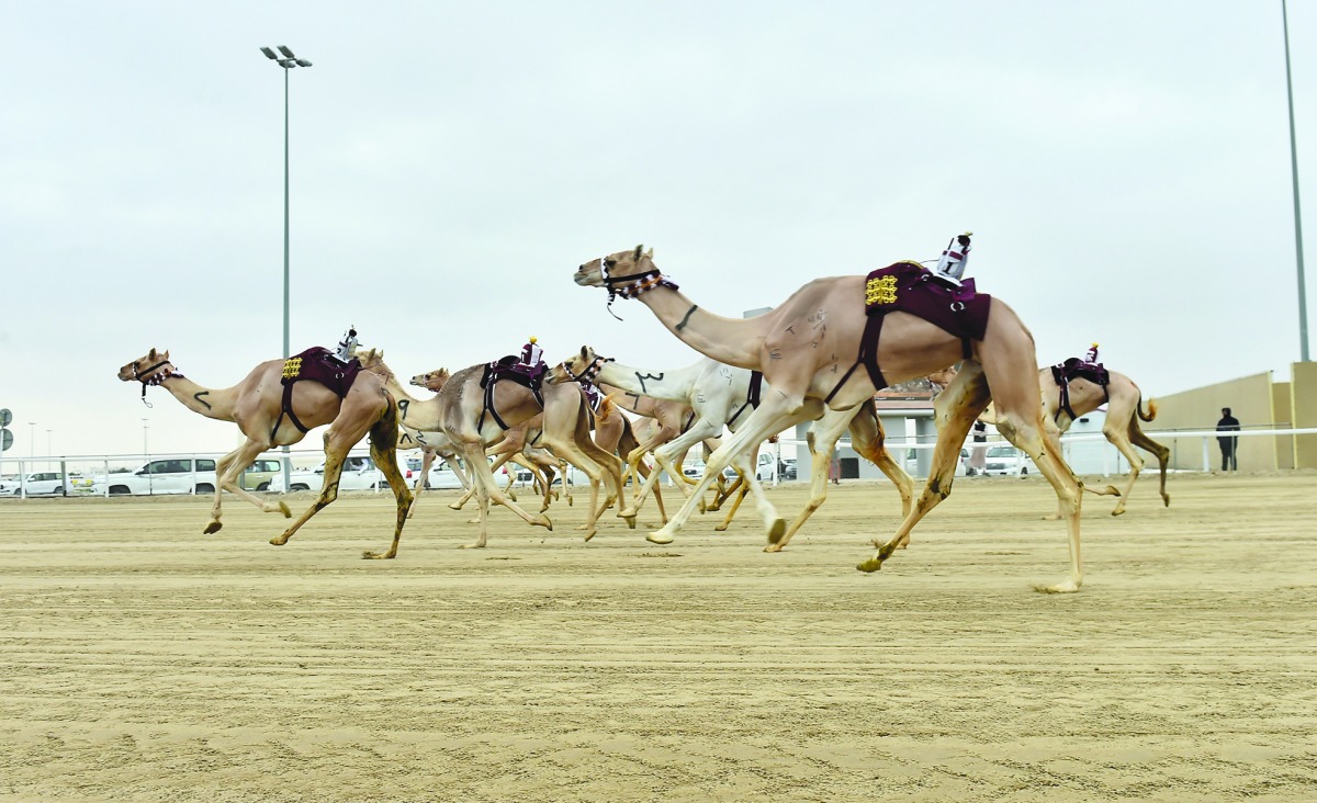 alarab