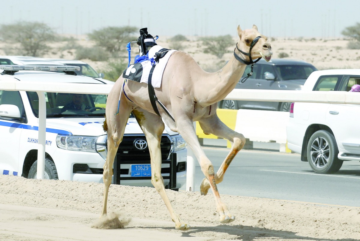 alarab