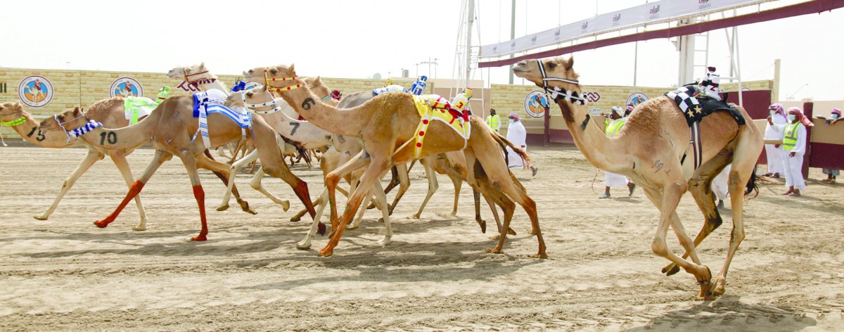 alarab