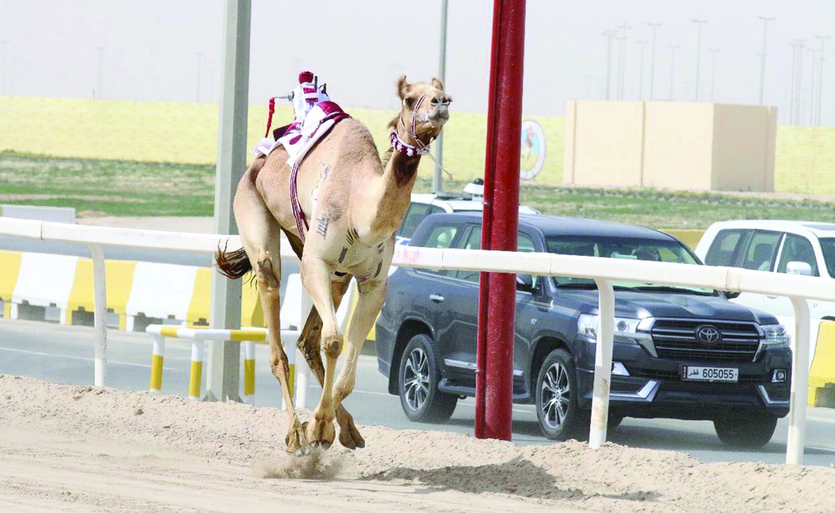 alarab