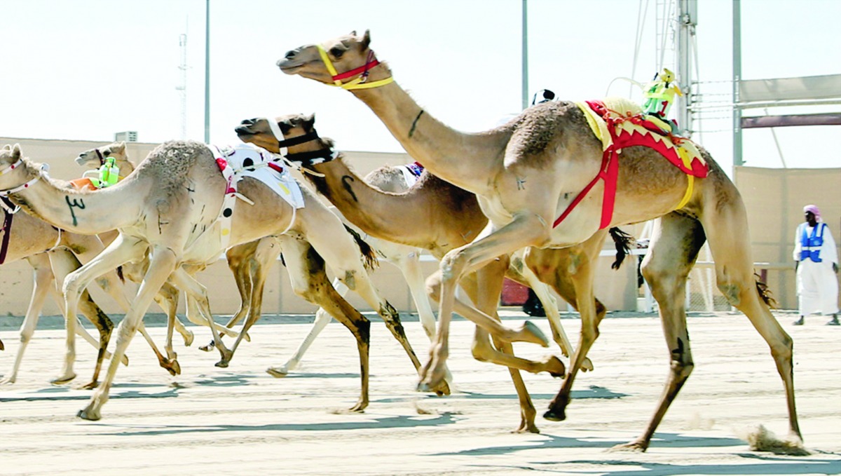 alarab