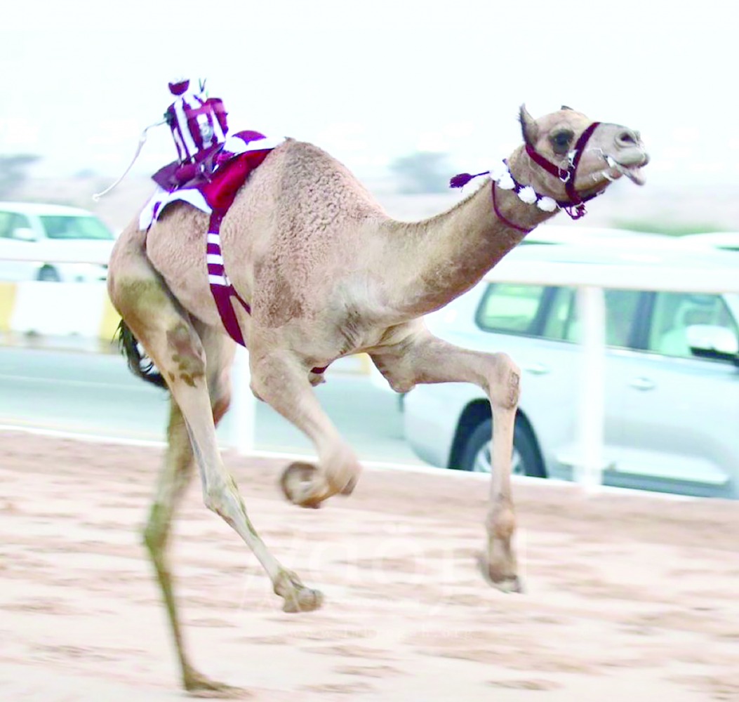 alarab