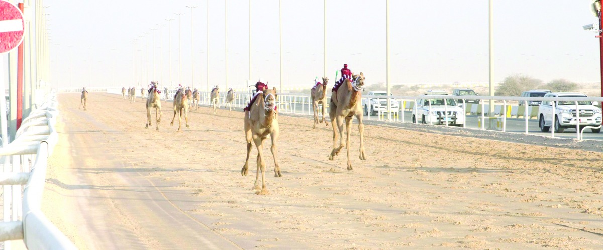 alarab