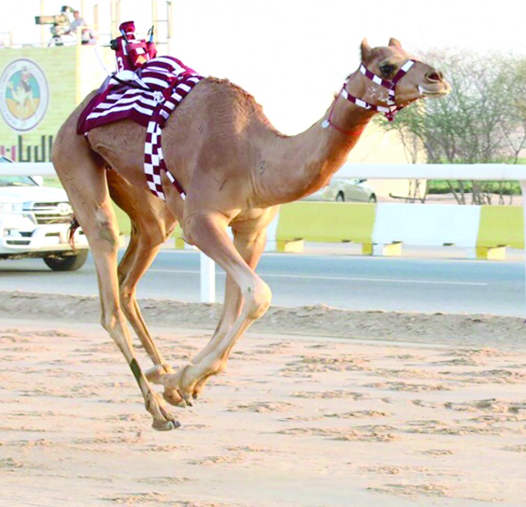 alarab