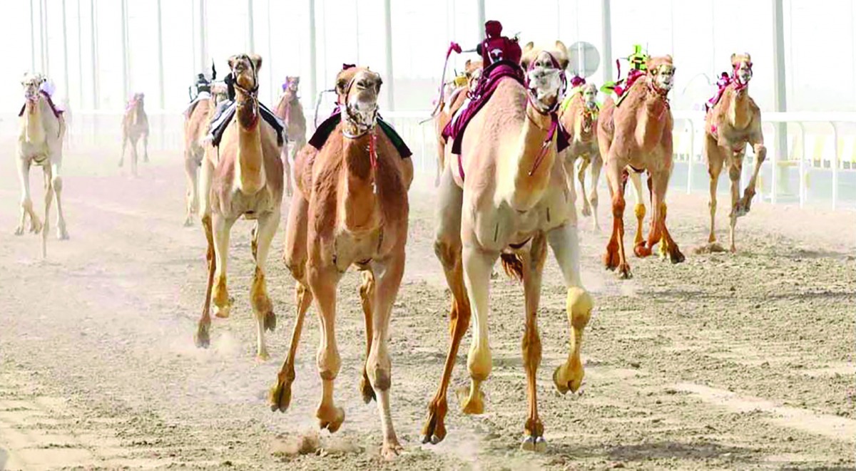 alarab