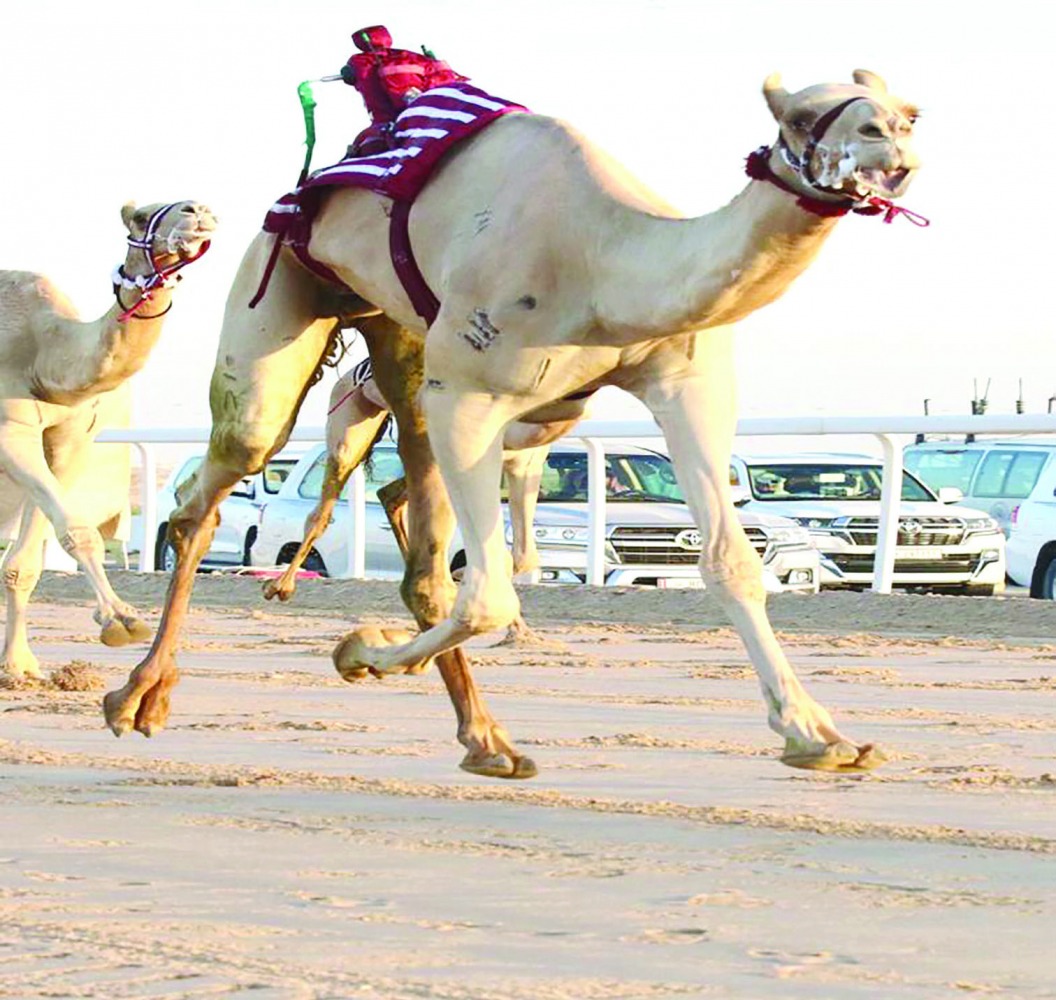 alarab