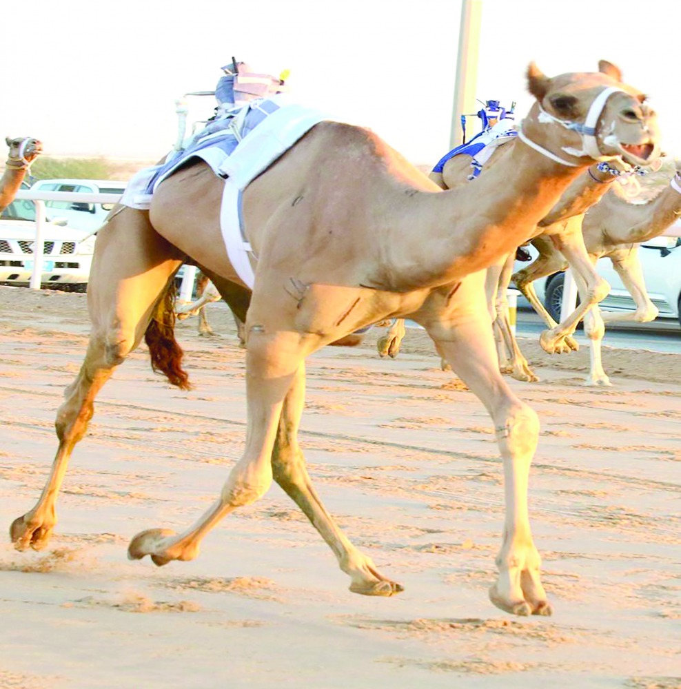 alarab