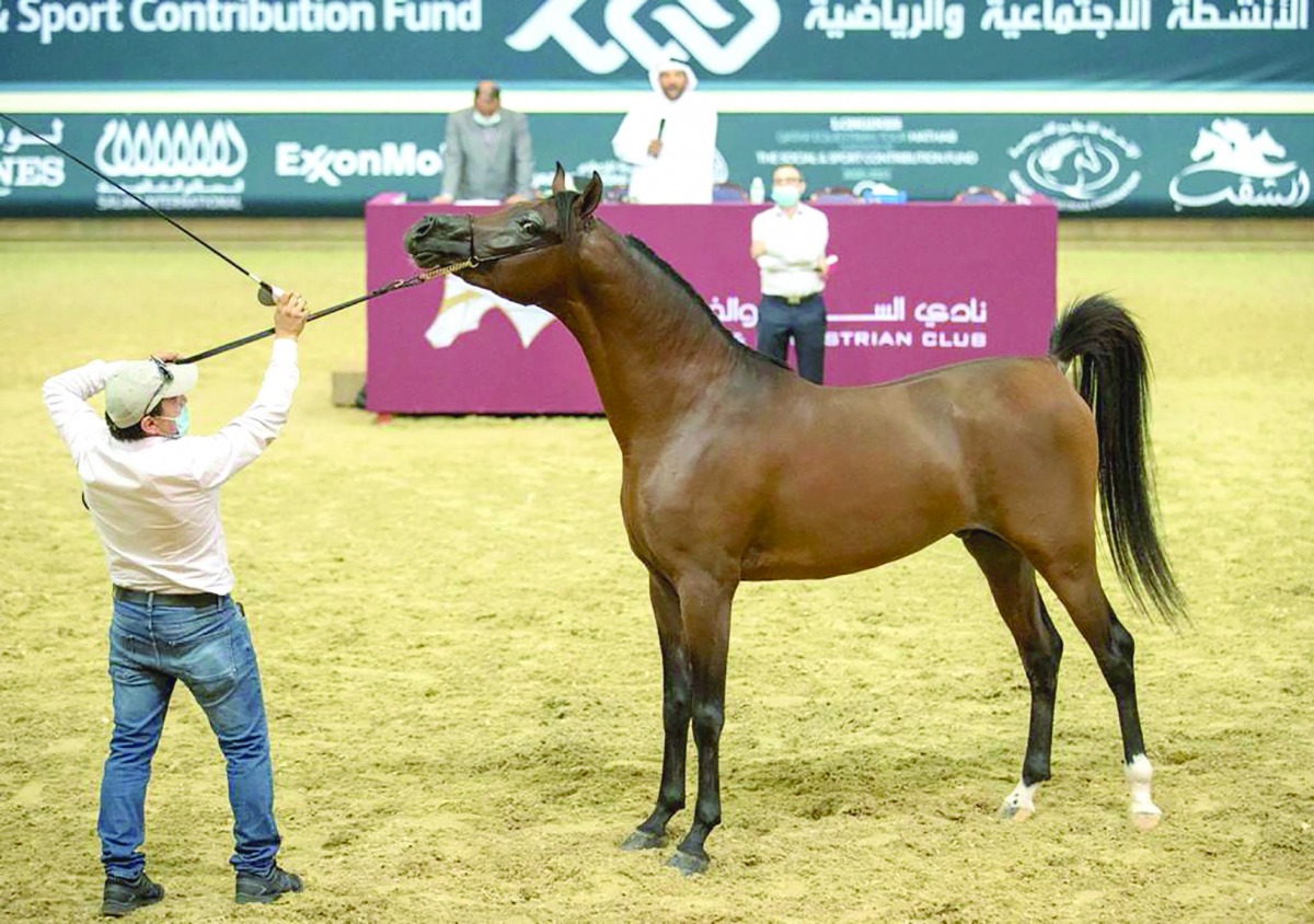 alarab