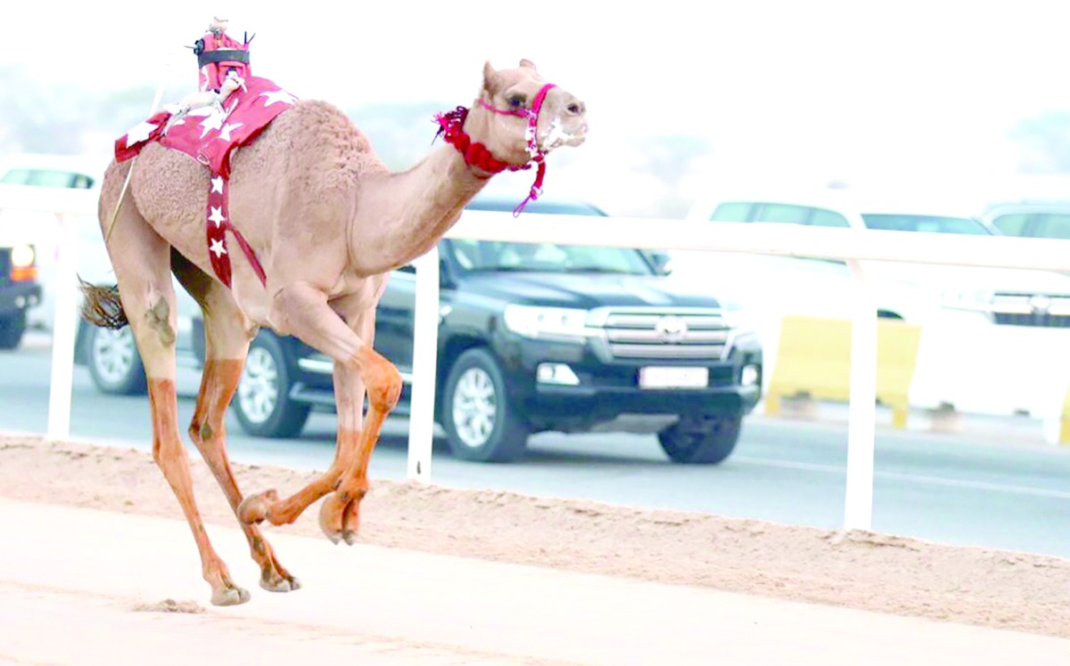 alarab