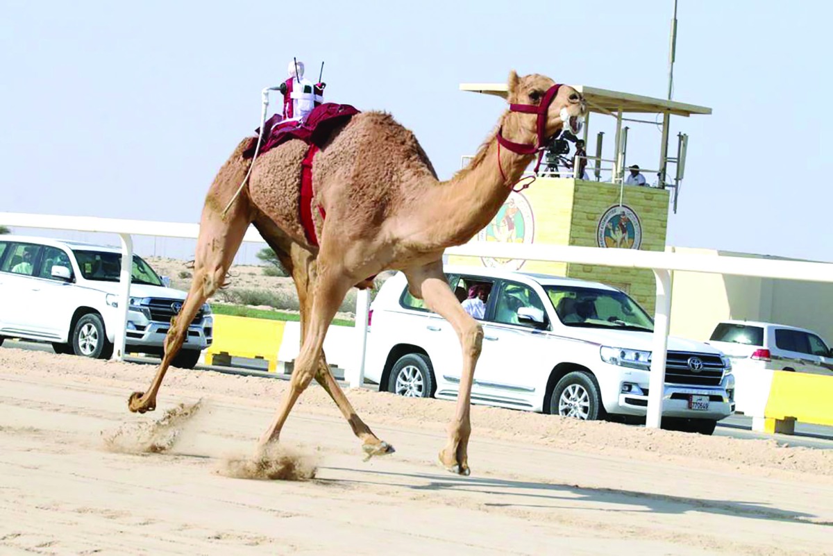 alarab