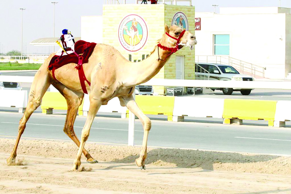 alarab