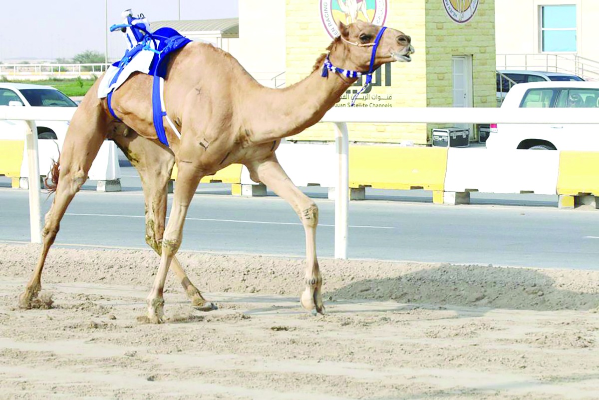 alarab