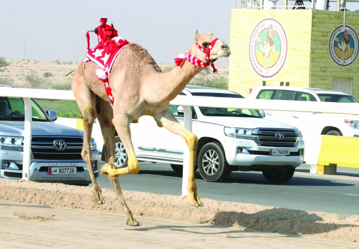alarab