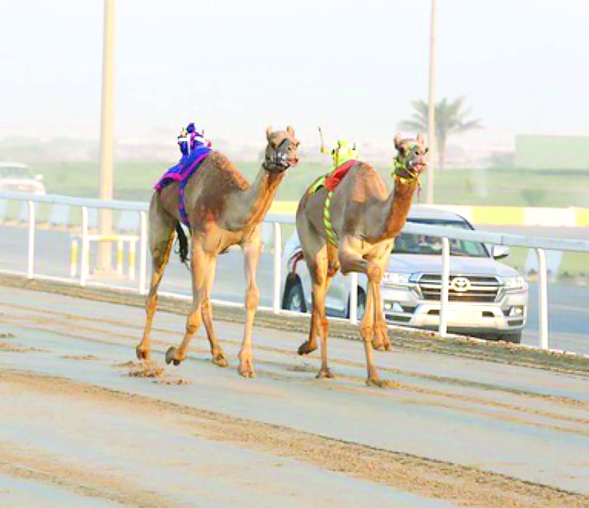 alarab