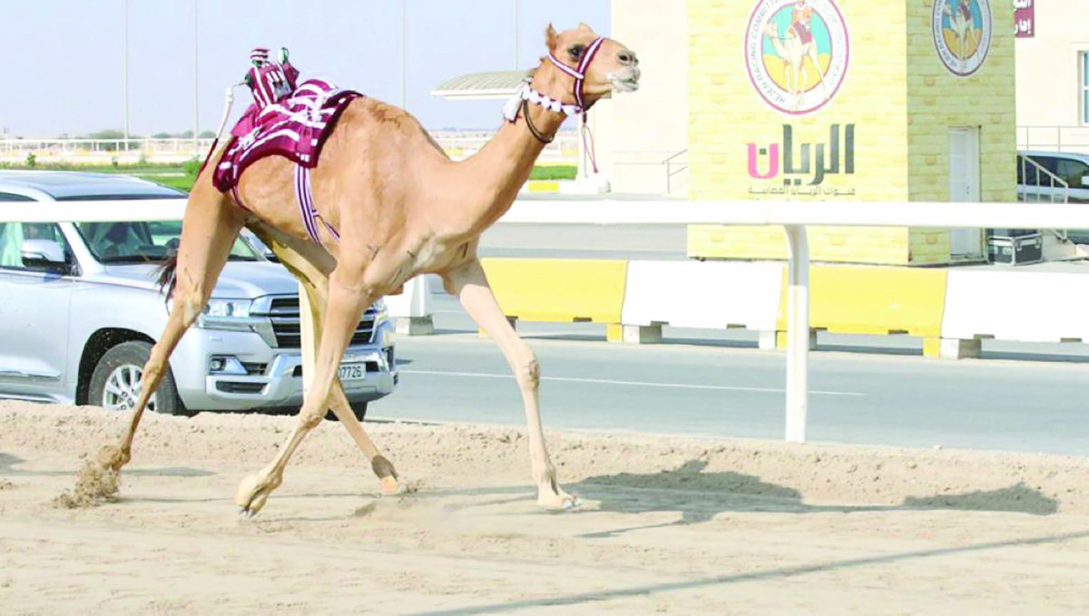 alarab