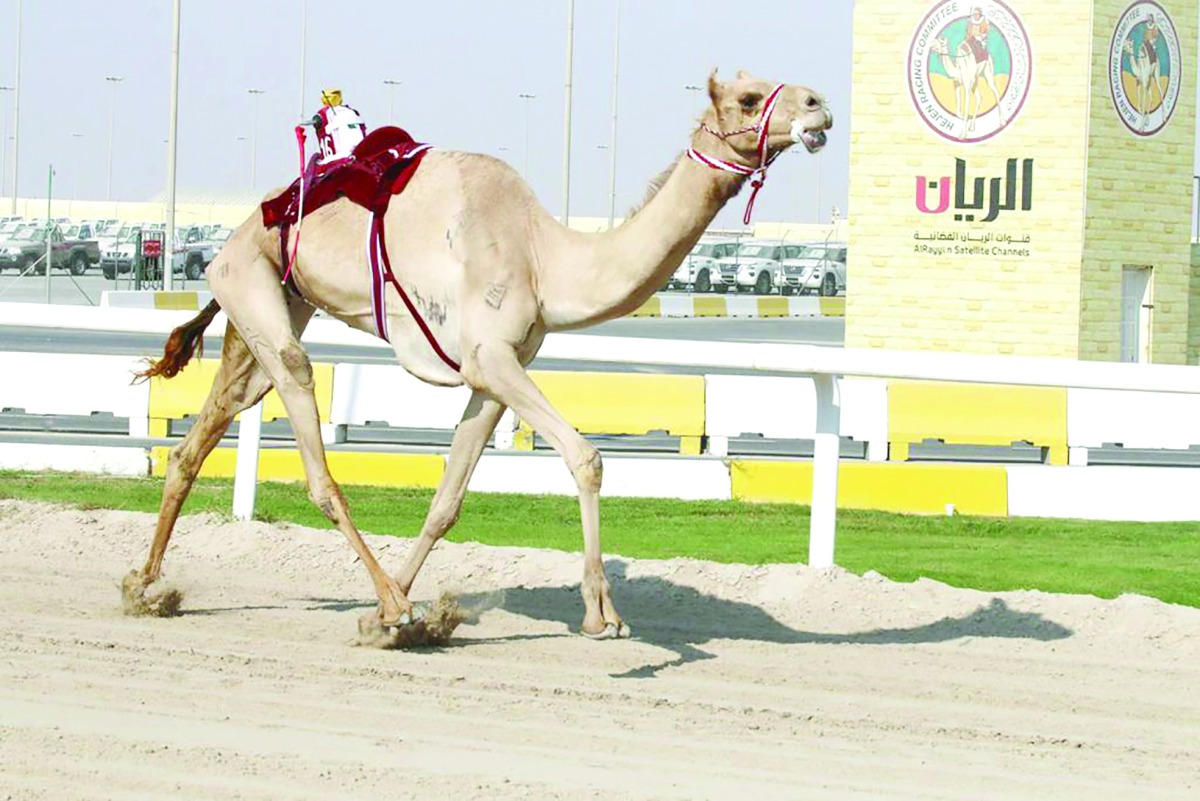 alarab