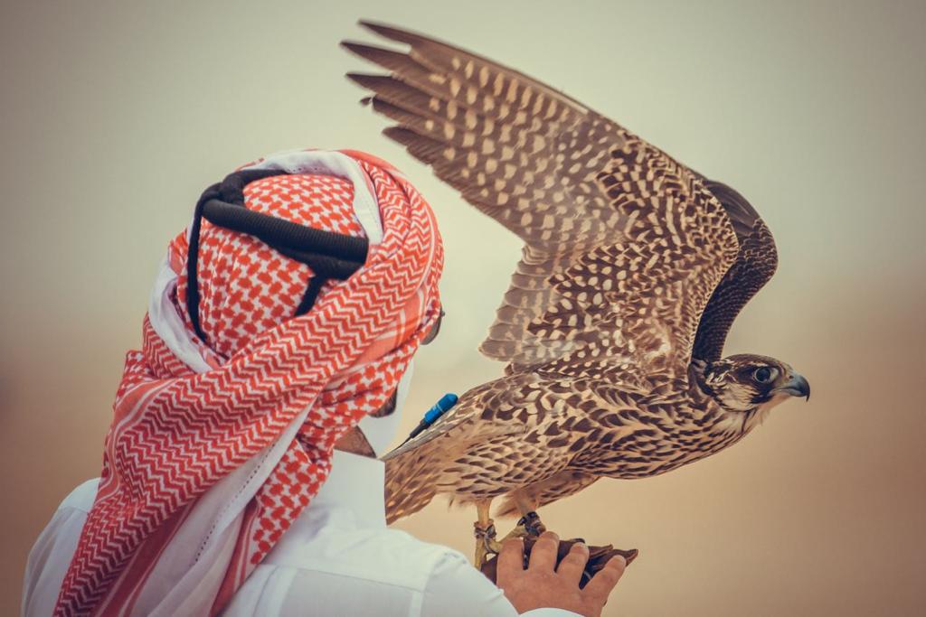 alarab