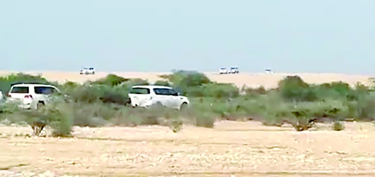 alarab
