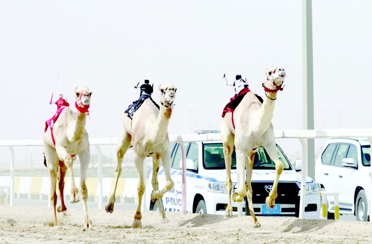 alarab