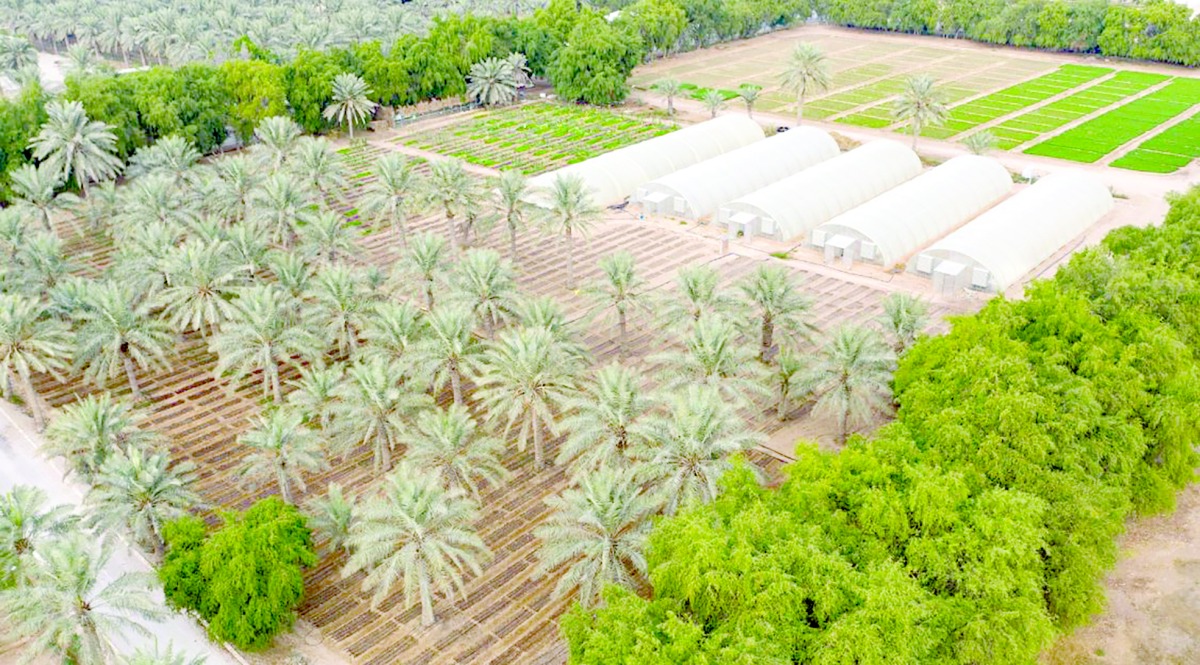 alarab