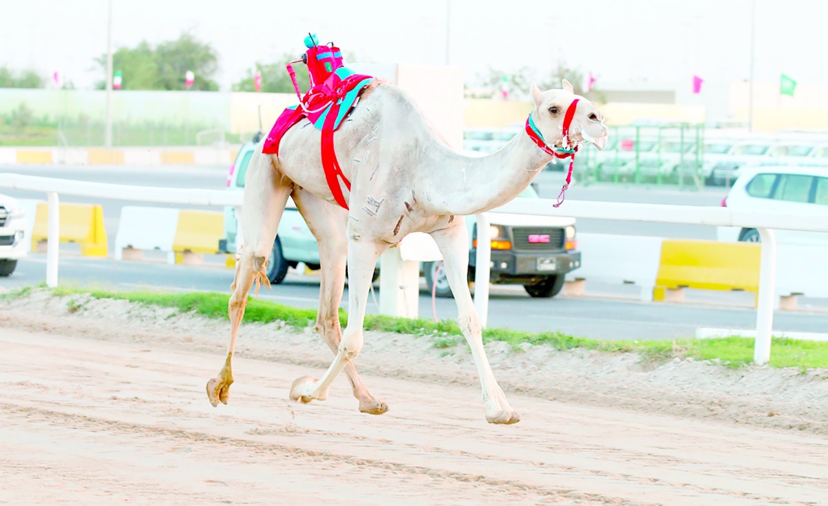 alarab