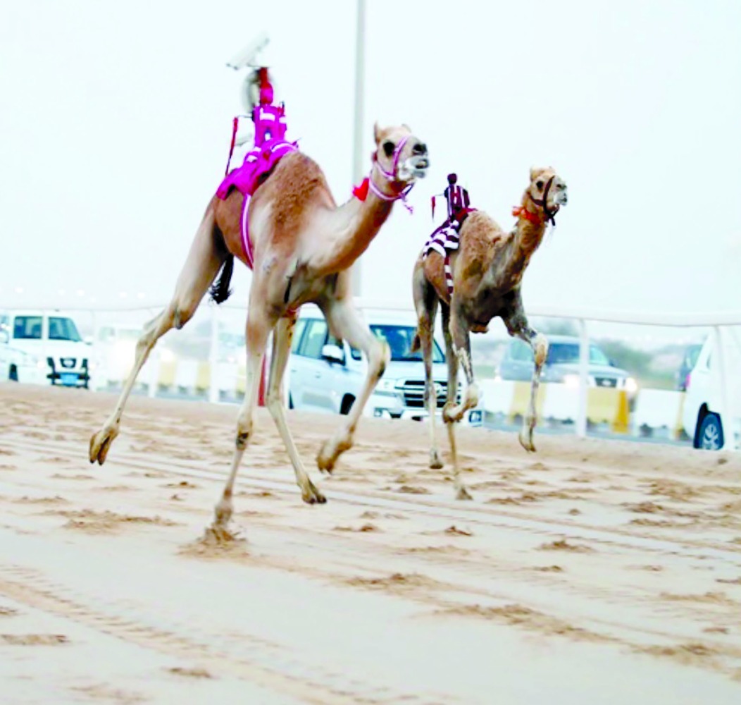 alarab