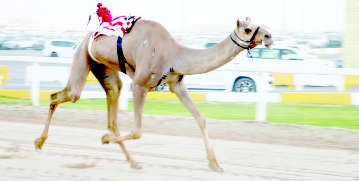 alarab