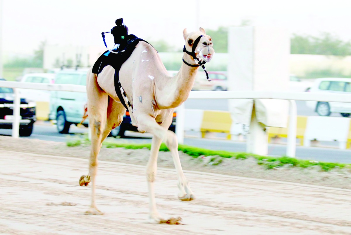 alarab