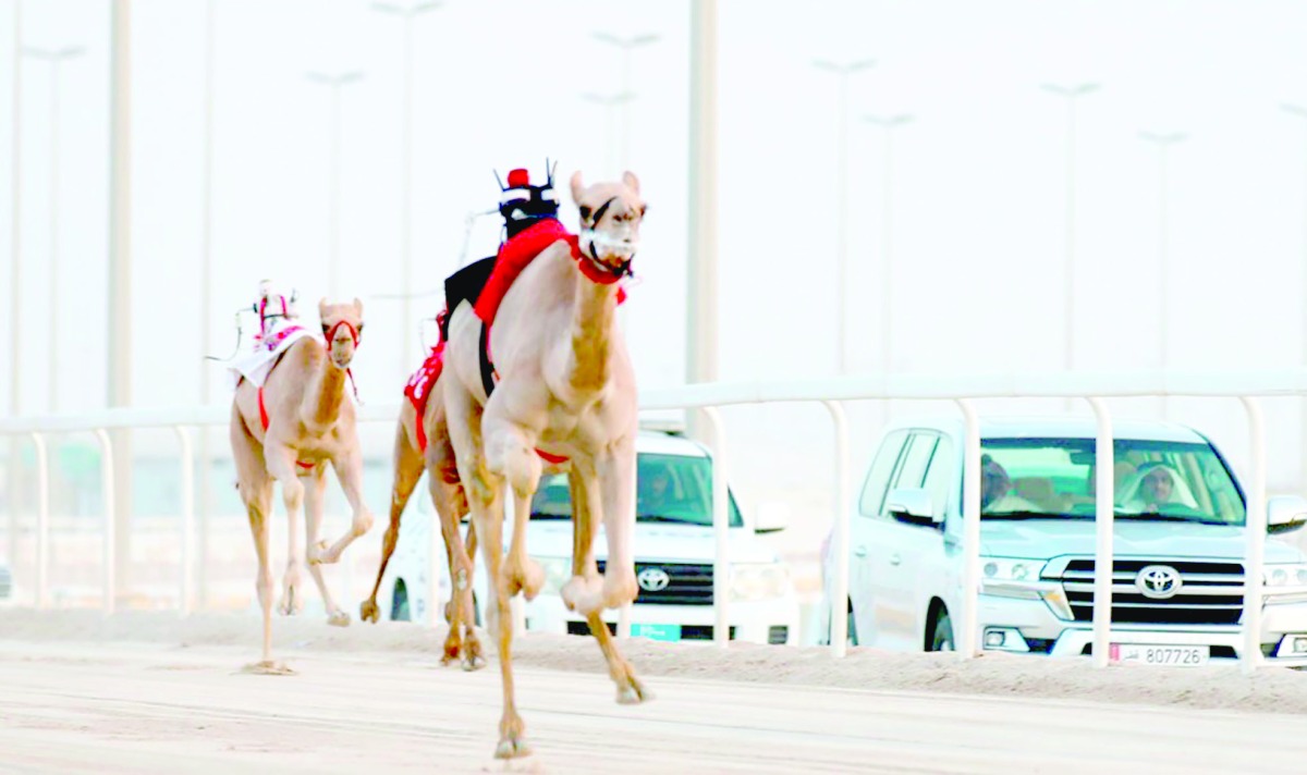 alarab