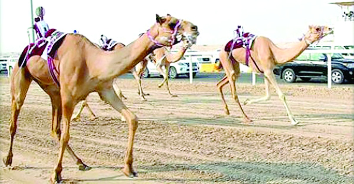 alarab