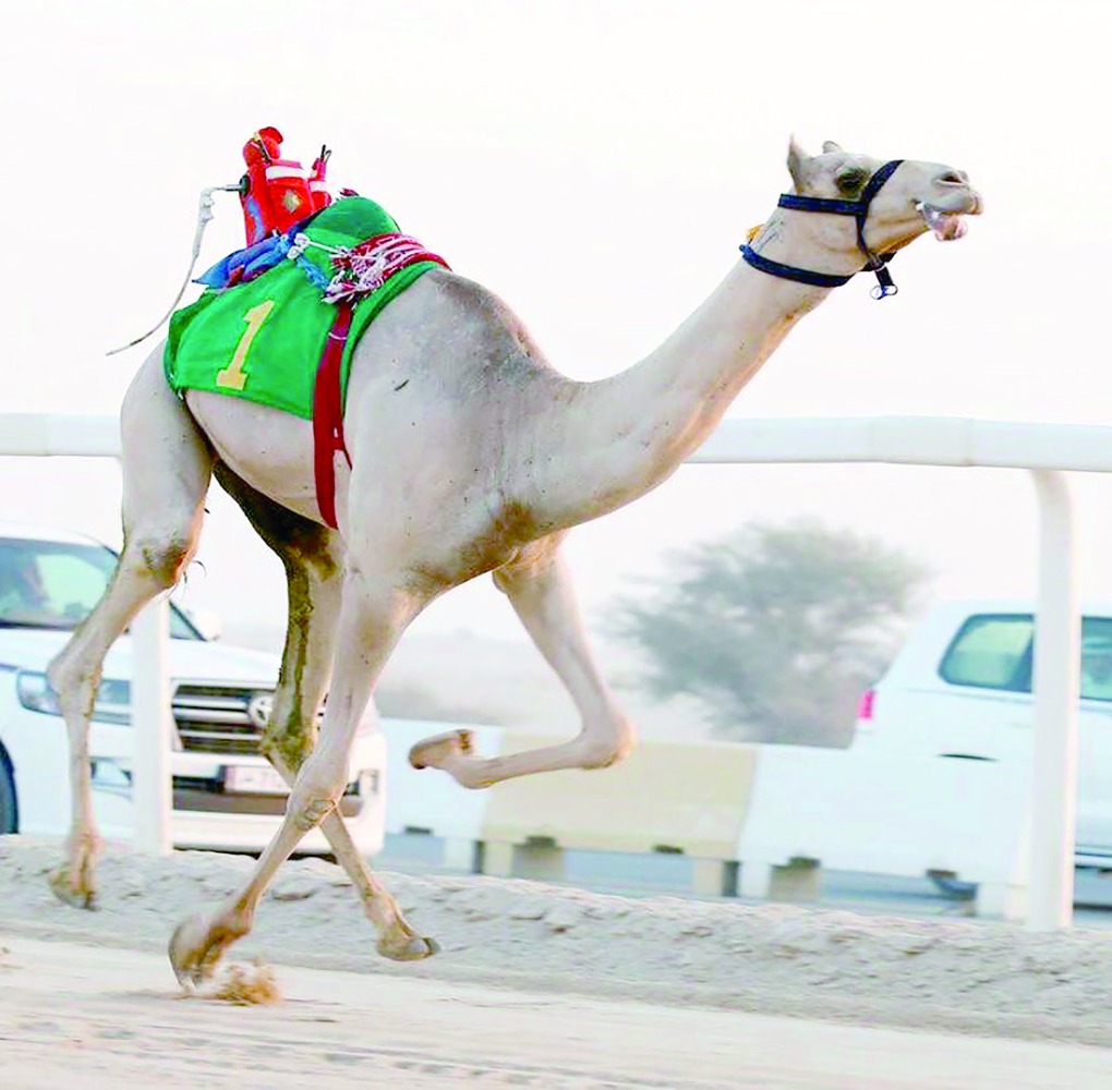 alarab