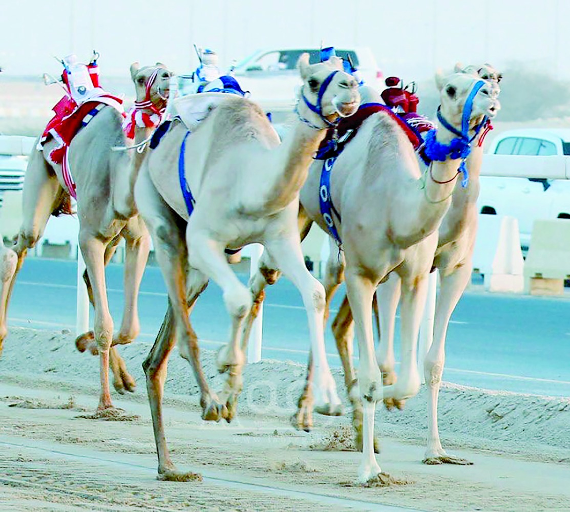 alarab