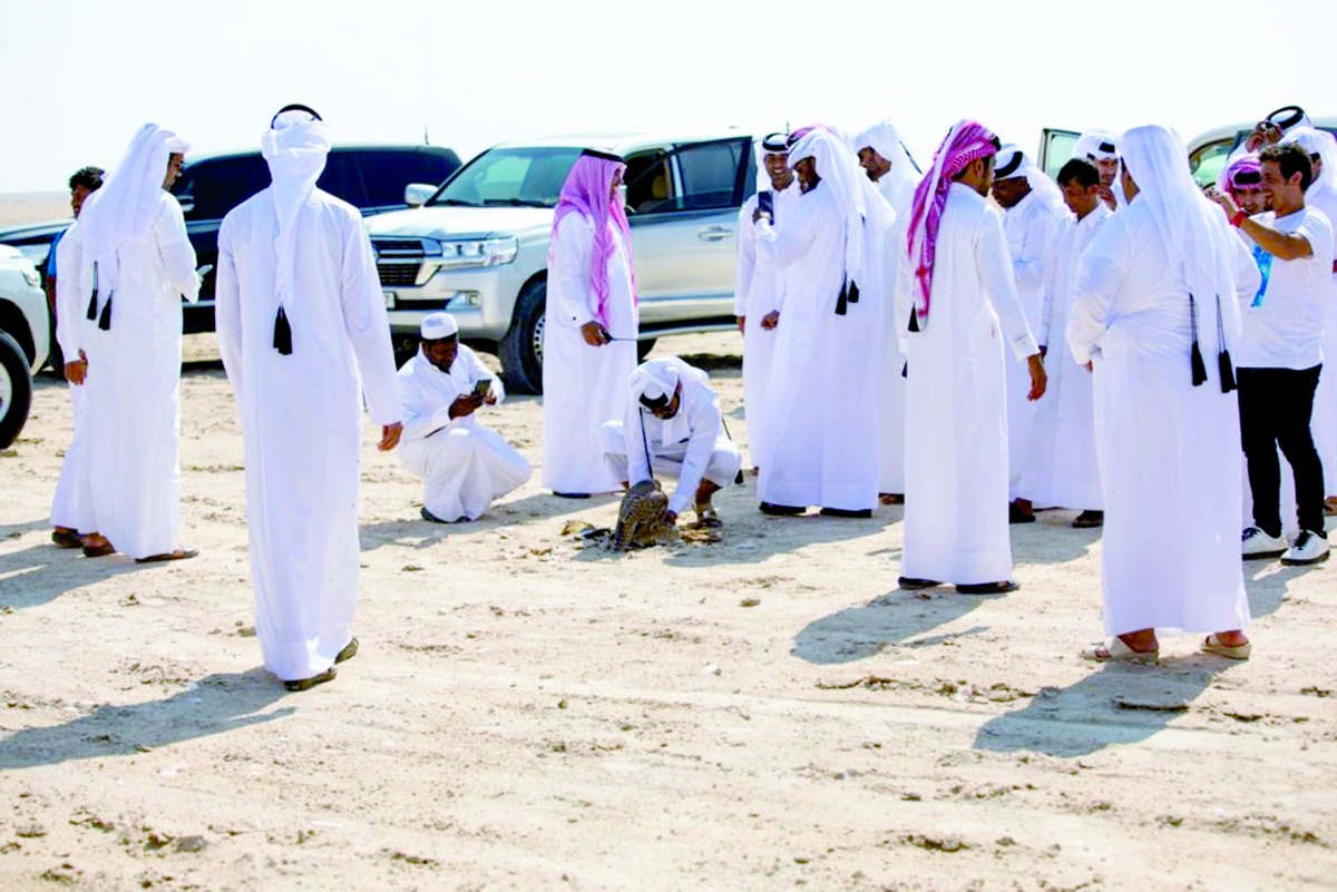 alarab