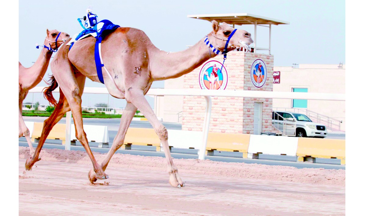 alarab