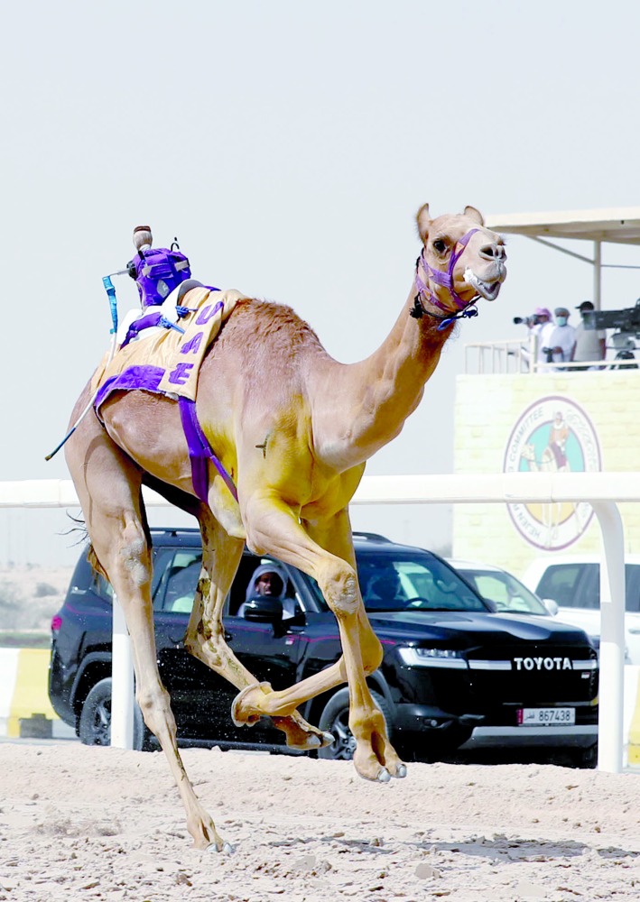 alarab