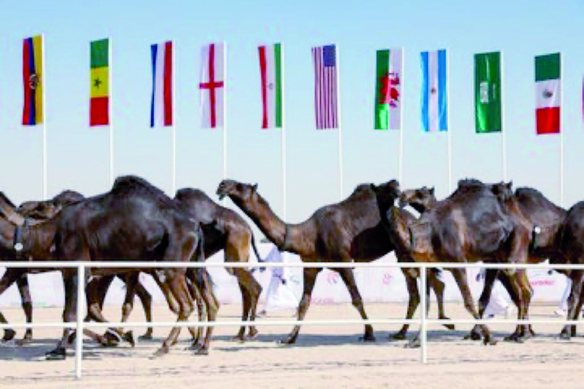 alarab