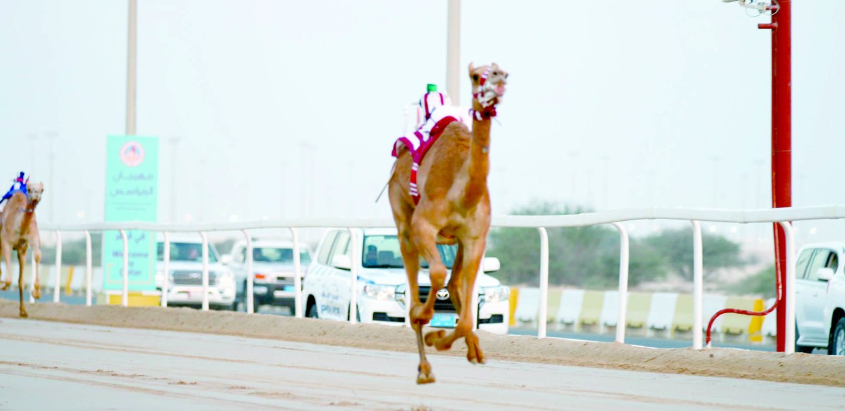 alarab