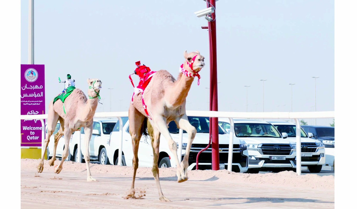 alarab