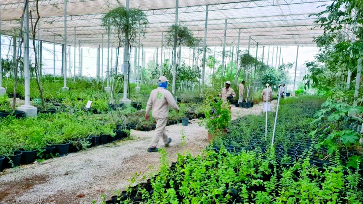 alarab