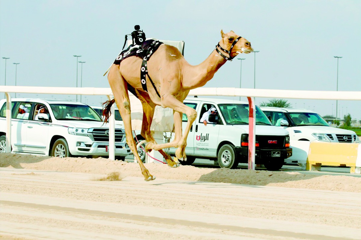 alarab