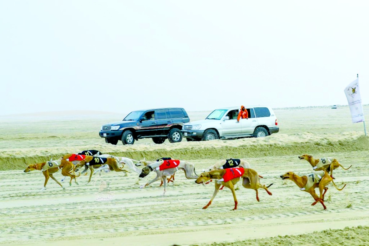 alarab